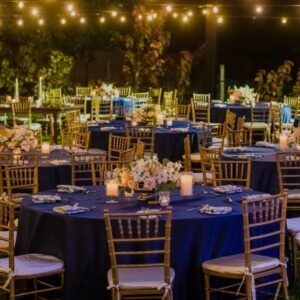 Ümmargune sinine laudlina müük ja rent