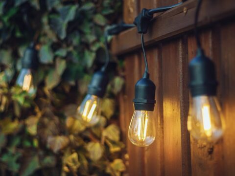 shutterstock 1484517656 1