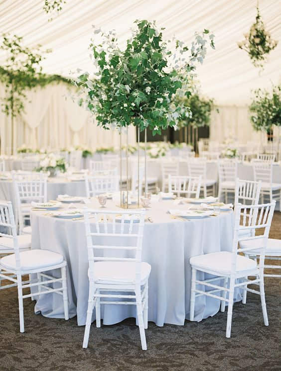 chiavari valge tool chiavari valge tool rent