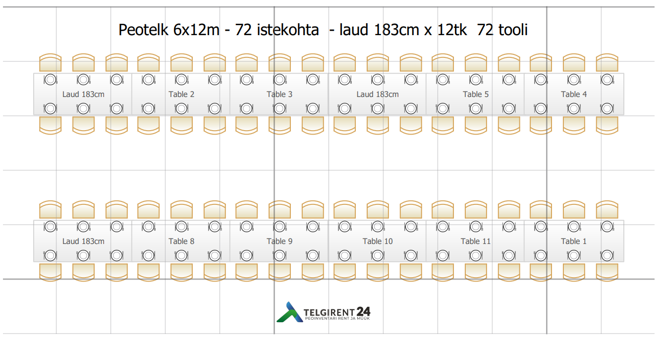 Peotelk 6x12m müük - professional seeria (lisatugevdustega raam) 6x12peotelk 10