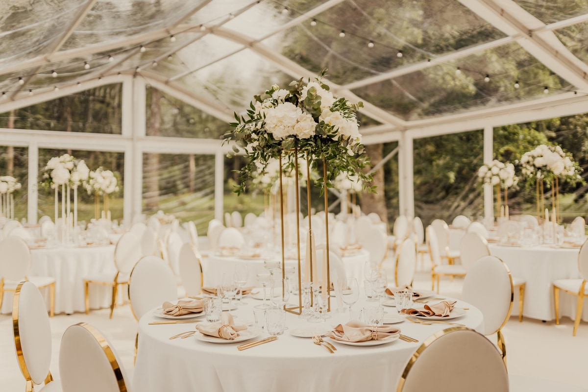 Pulmatelk peotelgi rent telgipulm moodultelgi rent pulm telgis