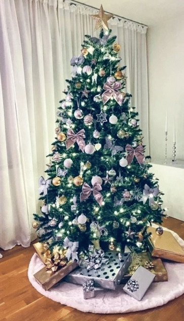 kuusepuu rent kuusk rendiks kuuskede rent