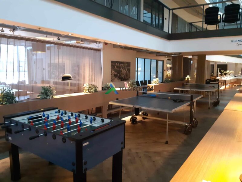 auajalgpall ping pong lauatennis rent meelelahutus ja mängud peole